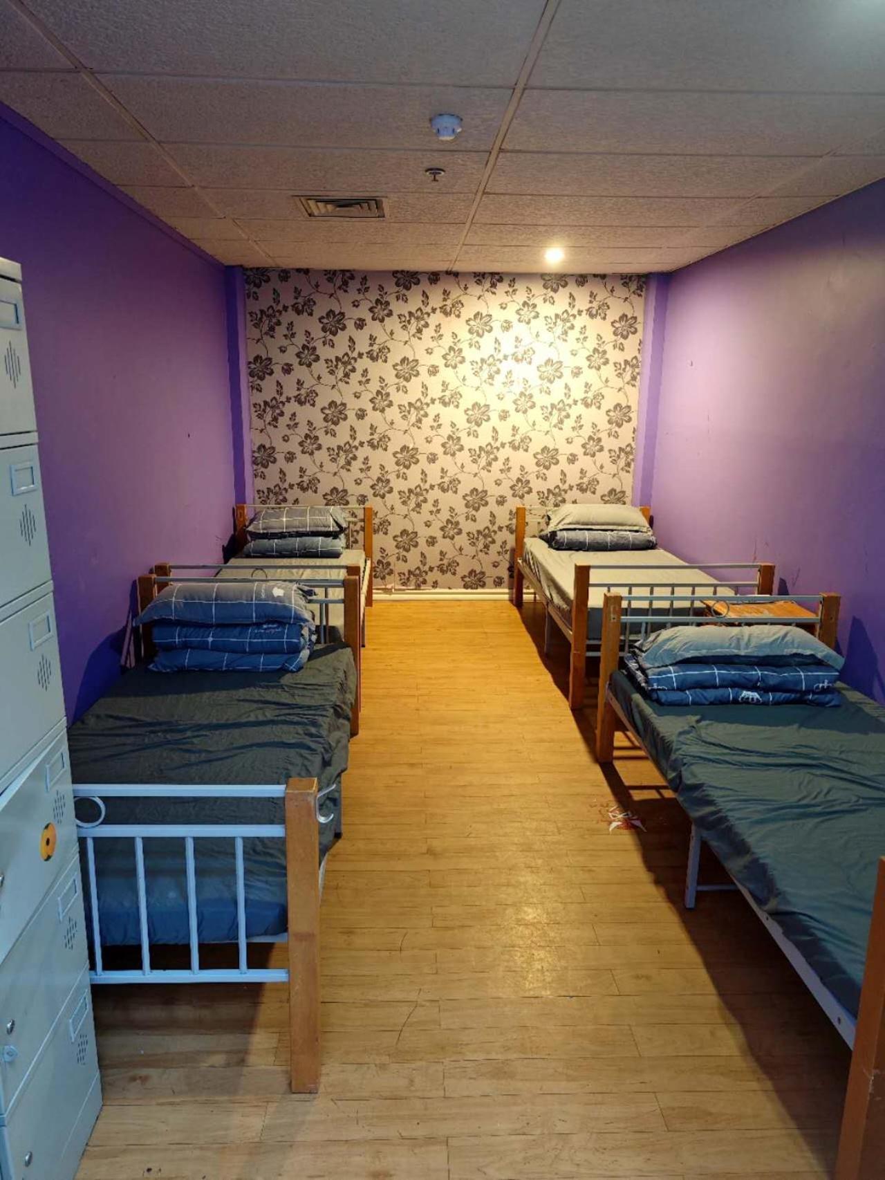 Frienz Backpacker Hostel Auckland Kültér fotó