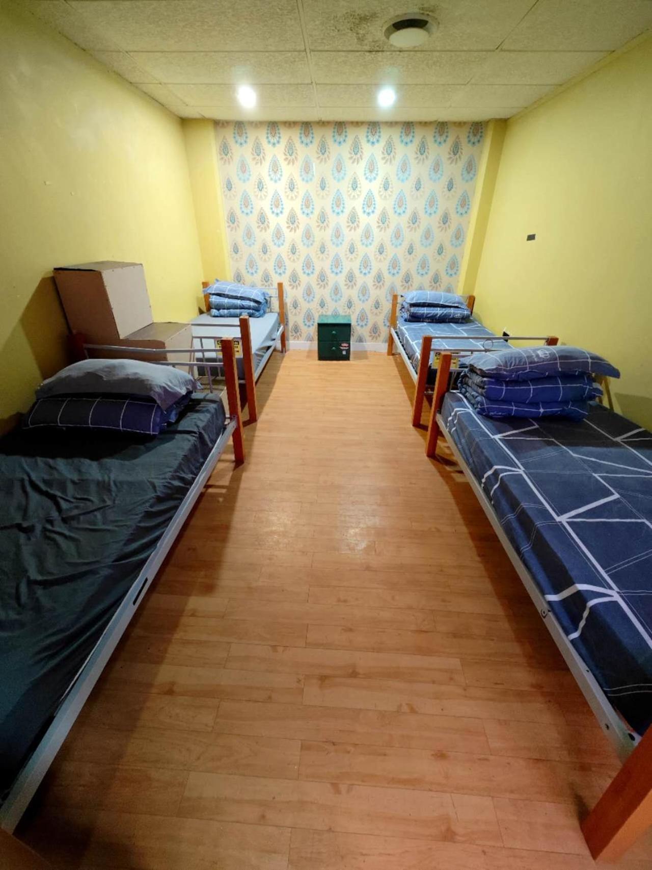 Frienz Backpacker Hostel Auckland Kültér fotó